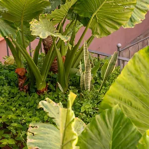 Bed and breakfast Verdi 254 Barcelona